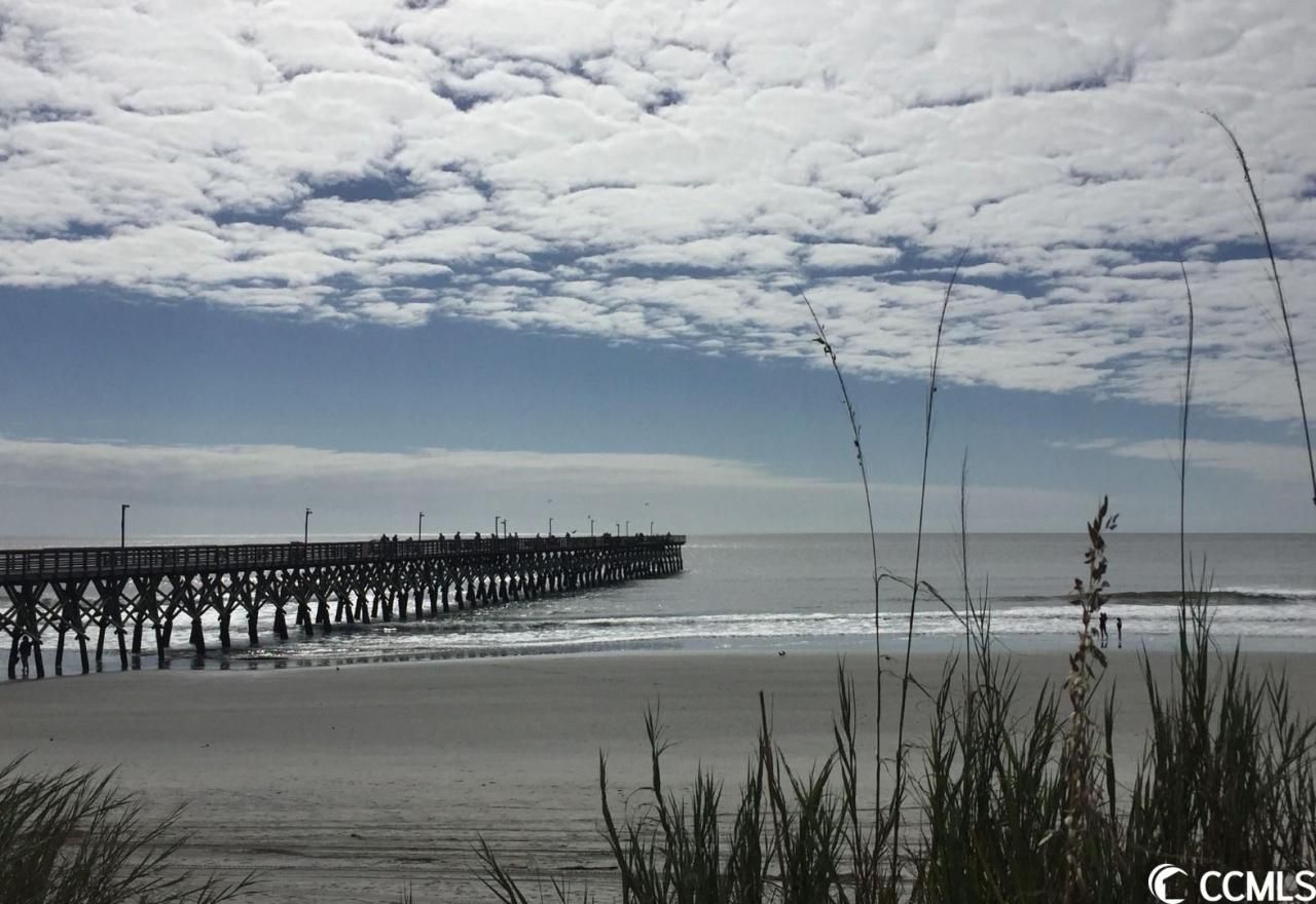 1479 & 1471 Highway 17 Photo 30