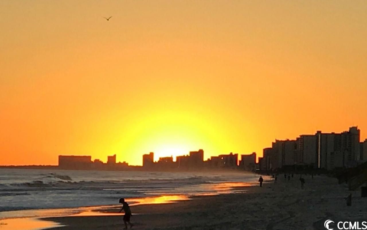 1479 & 1471 Highway 17 Photo 31