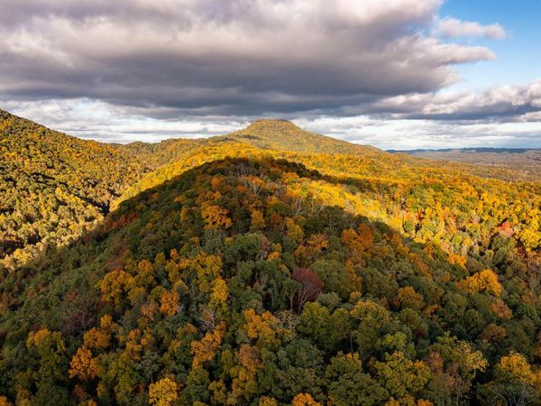 378 Ac Caney Creek Lane, Greeneville, TN 37745