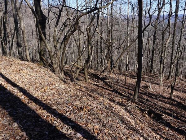 41 Pinnacle Parkway, Union Mills, NC 28167