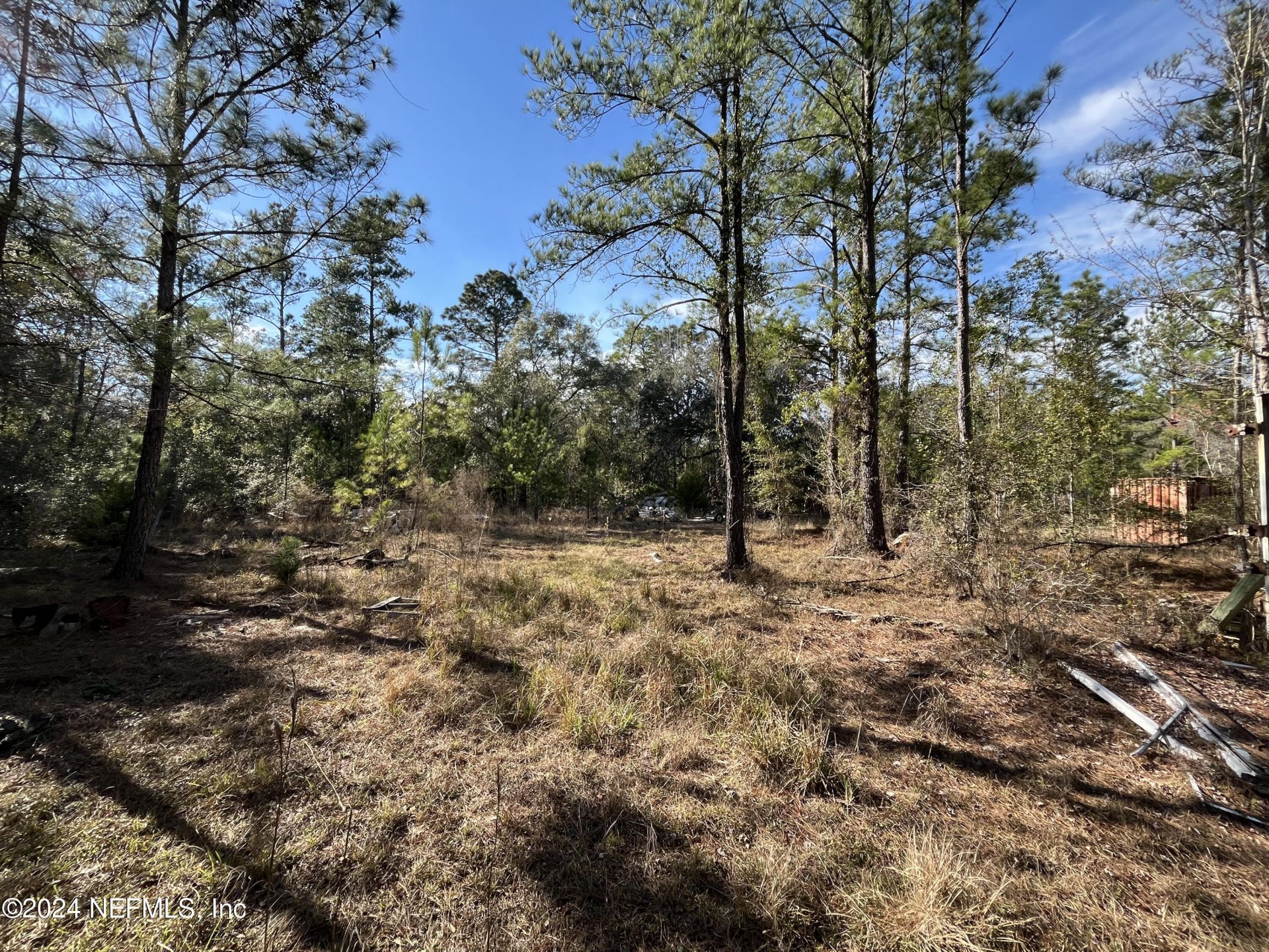 481 N Highway 17, Palatka, FL 32177 Photo