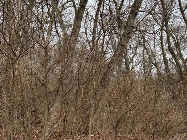 0 N 381 W, Lake Village, IN 46349