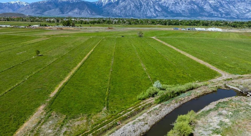 000 Pinenut Road, Gardnerville, NV 89410 Photo