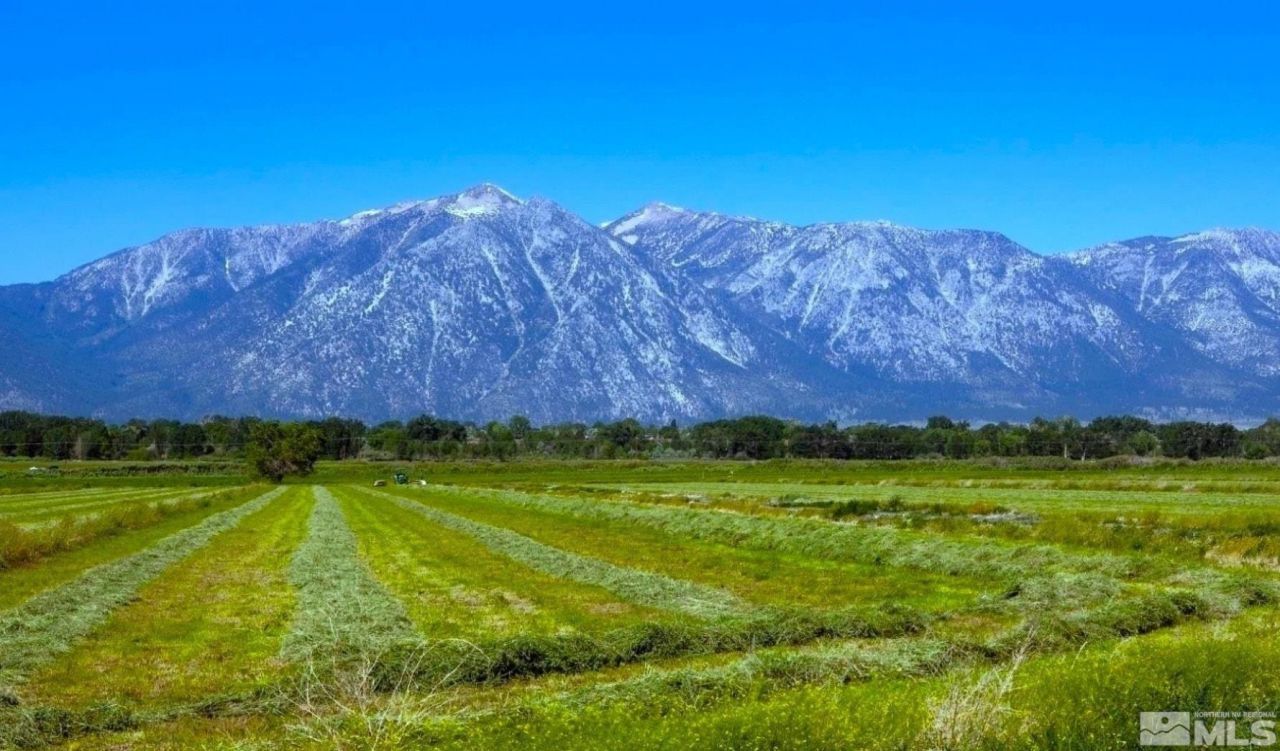 000 Pinenut Road, Gardnerville, NV 89410 Photo