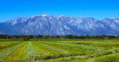 000 Pinenut Road, Gardnerville, NV 89410 Photo