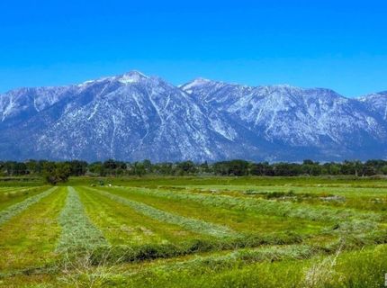 000 Pinenut Road, Gardnerville, NV 89410 Photo