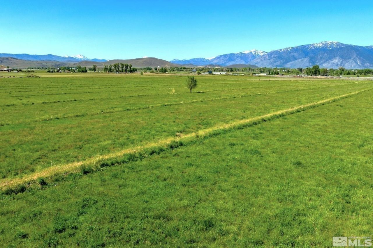 000 Pinenut Road, Gardnerville, NV 89410 Photo
