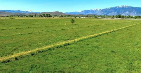 000 Pinenut Road, Gardnerville, NV 89410 Photo