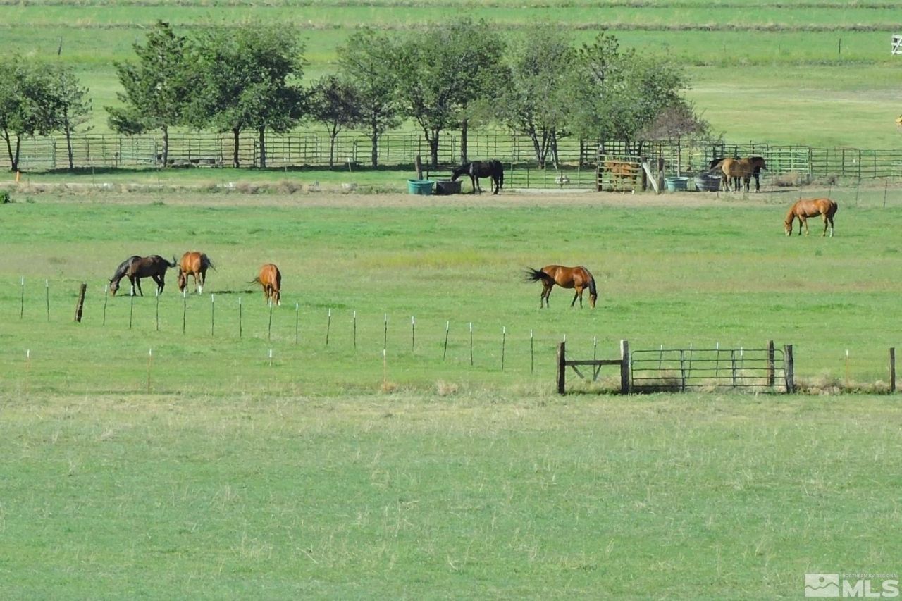 000 Pinenut Road, Gardnerville, NV 89410 Photo