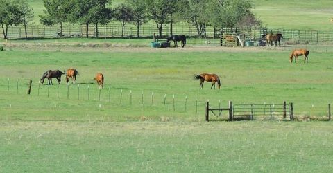 000 Pinenut Road, Gardnerville, NV 89410 Photo