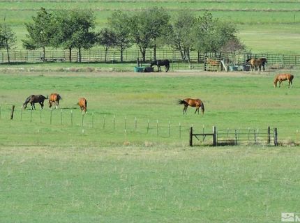 000 Pinenut Road, Gardnerville, NV 89410 Photo