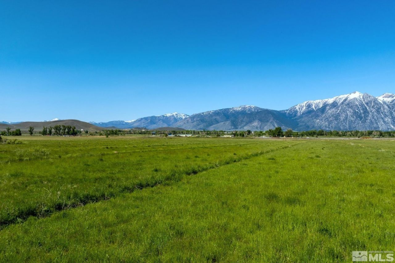 000 Pinenut Road, Gardnerville, NV 89410 Photo