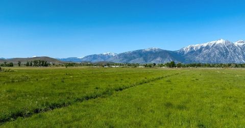 000 Pinenut Road, Gardnerville, NV 89410 Photo