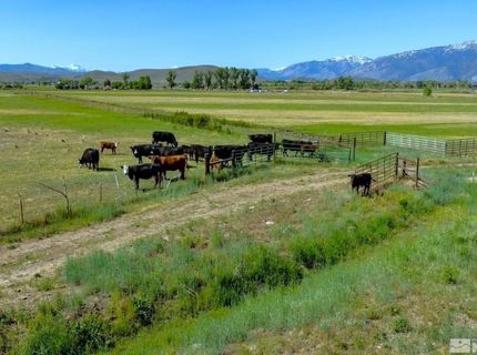 000 Pinenut Road, Gardnerville, NV 89410 Photo