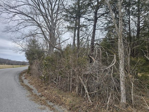 2 Love Branch Rd Tract 2, Hampshire, TN 38461