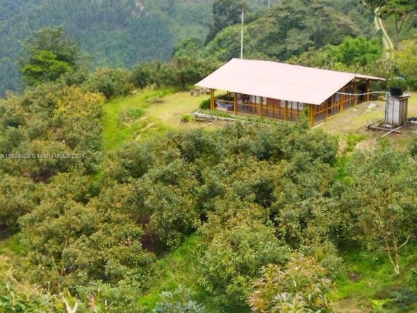 Armenia-Quindio, FL 00000