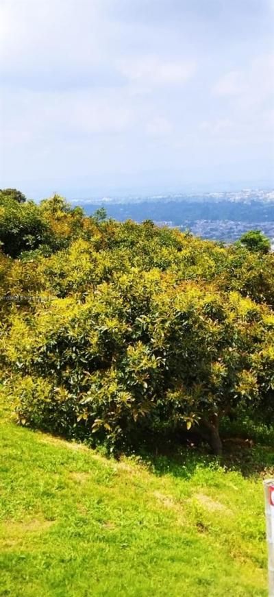 Armenia-quindio, , FL 00000 Photo