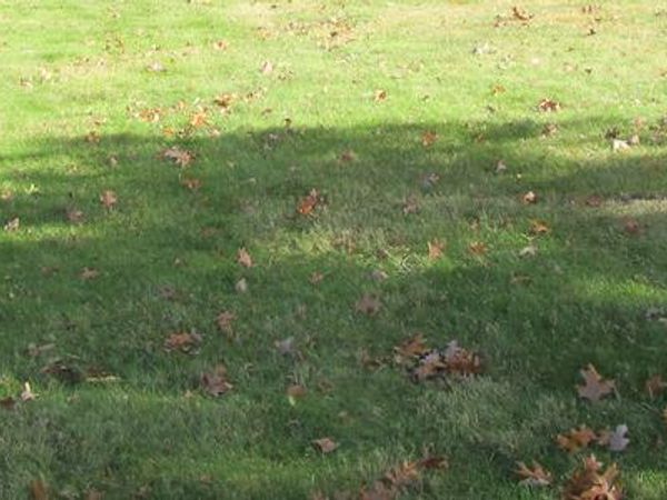 6403 S County Line Road, Burr Ridge, IL 60527