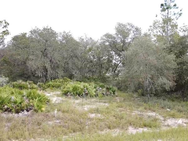 1405 SARASOTA COURT, POINCIANA, FL 34759