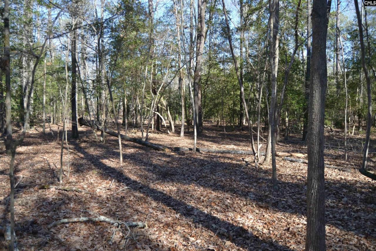 4051 Hard Scrabble Road Photo 10