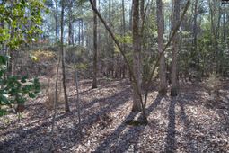 4051 Hard Scrabble Road photo 4