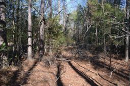 4051 Hard Scrabble Road photo 4