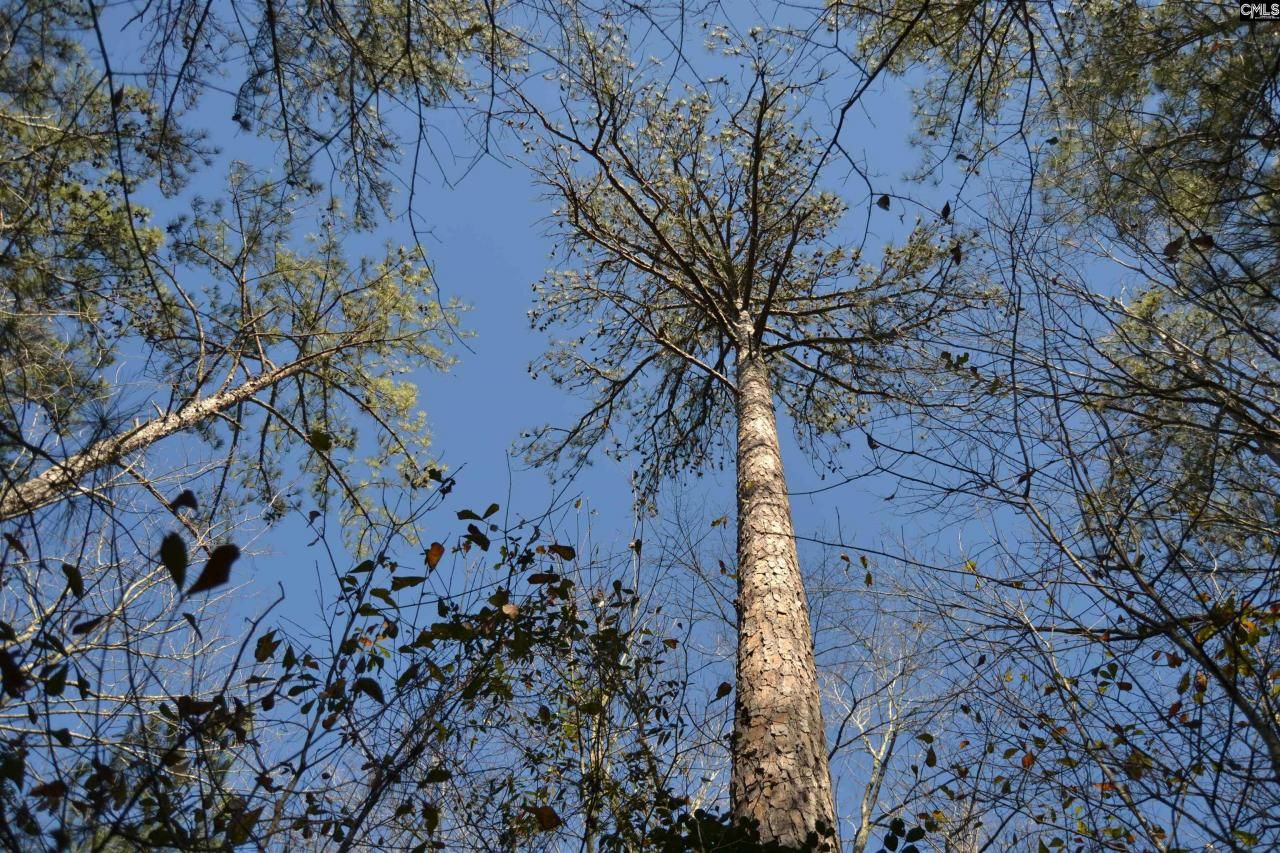 4051 Hard Scrabble Road Photo 4