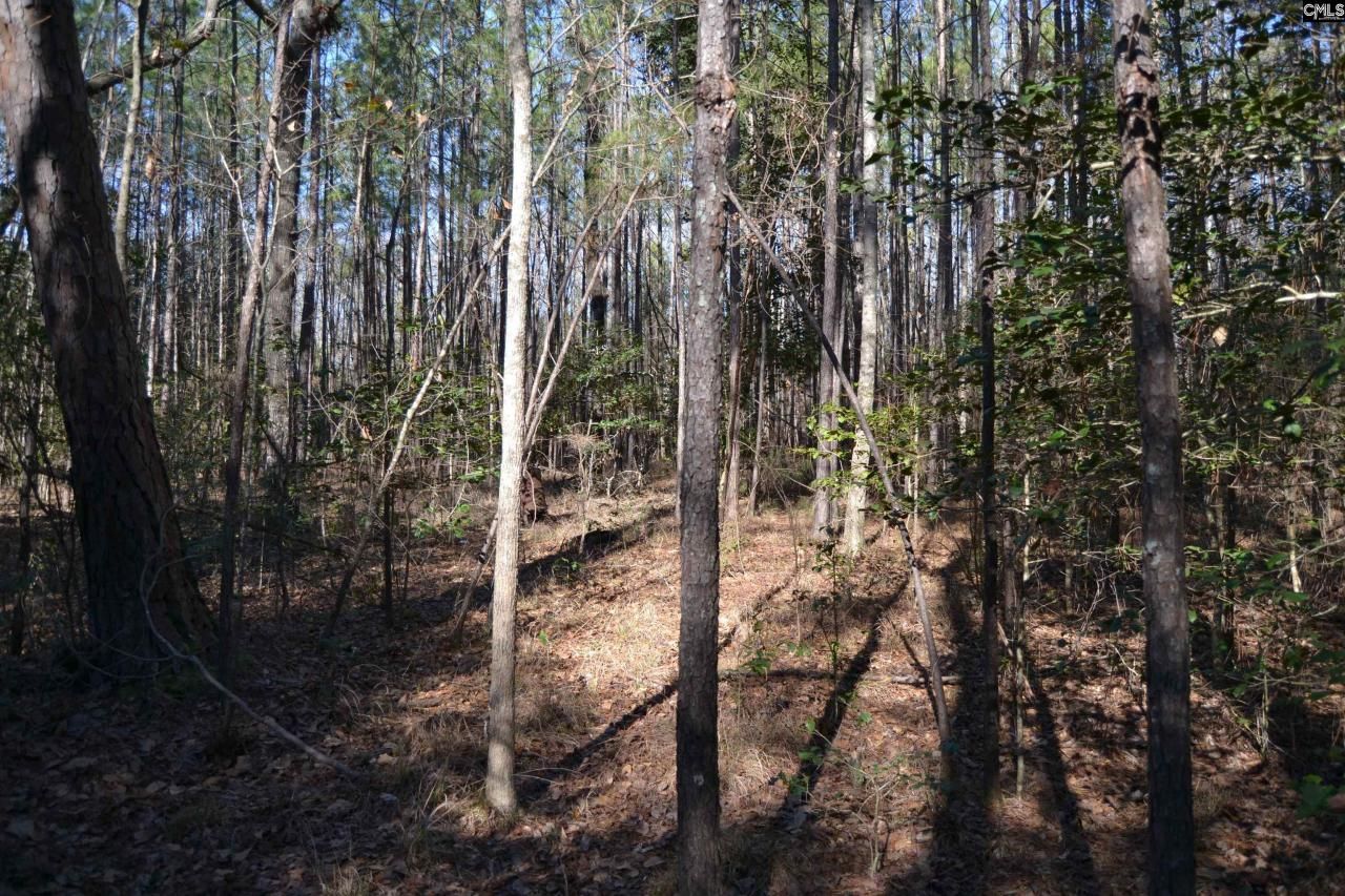 4051 Hard Scrabble Road Photo 5