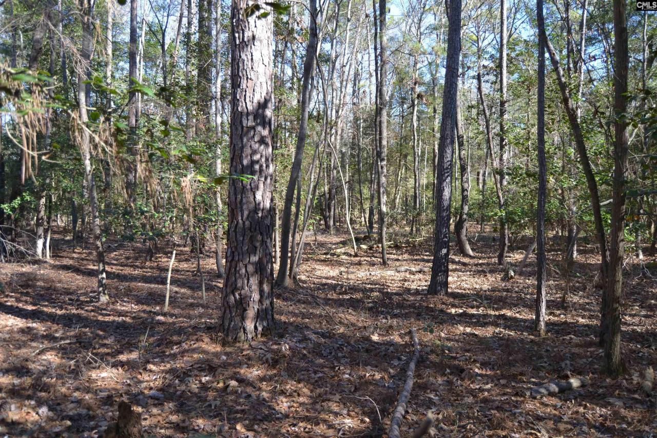 4051 Hard Scrabble Road Photo 7