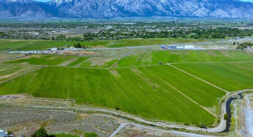 000 Pinenut Road, Gardnerville, NV 89410 Photo