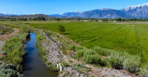 000 Pinenut Road, Gardnerville, NV 89410 Photo