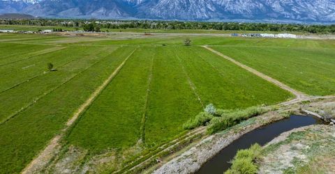 000 Pinenut Road, Gardnerville, NV 89410 Photo