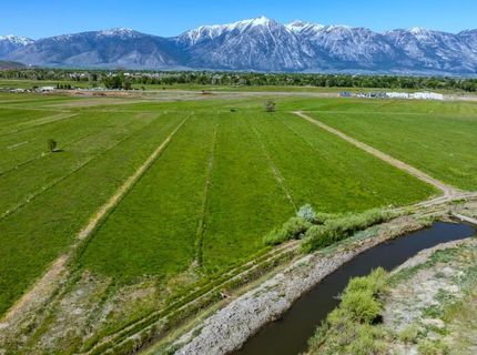 000 Pinenut Road, Gardnerville, NV 89410 Photo