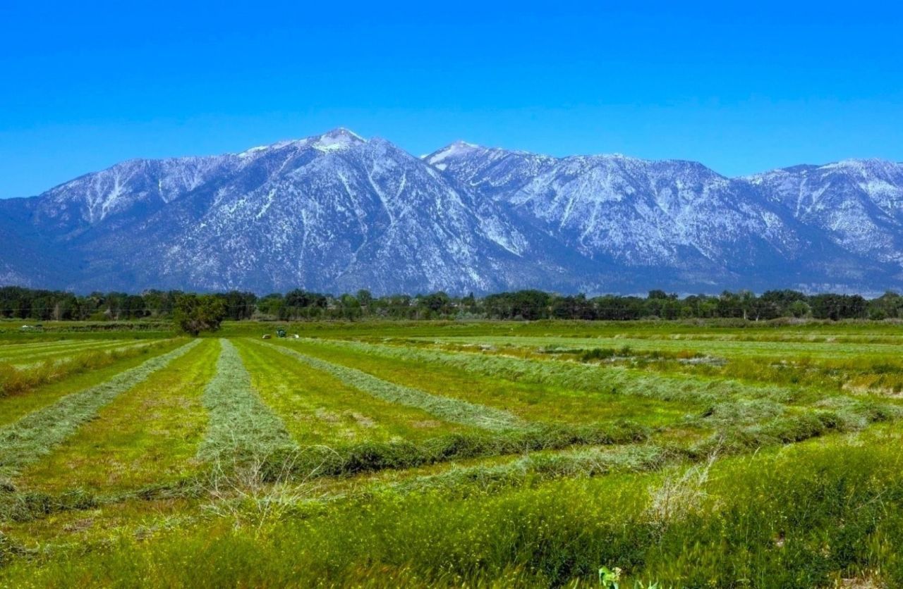 000 Pinenut Road, Gardnerville, NV 89410 Photo