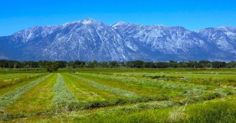 000 Pinenut Road, Gardnerville, NV 89410 Photo