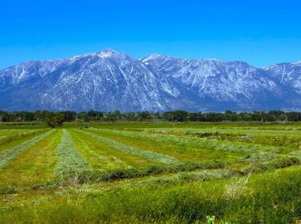 000 Pinenut Road, Gardnerville, NV 89410 Photo