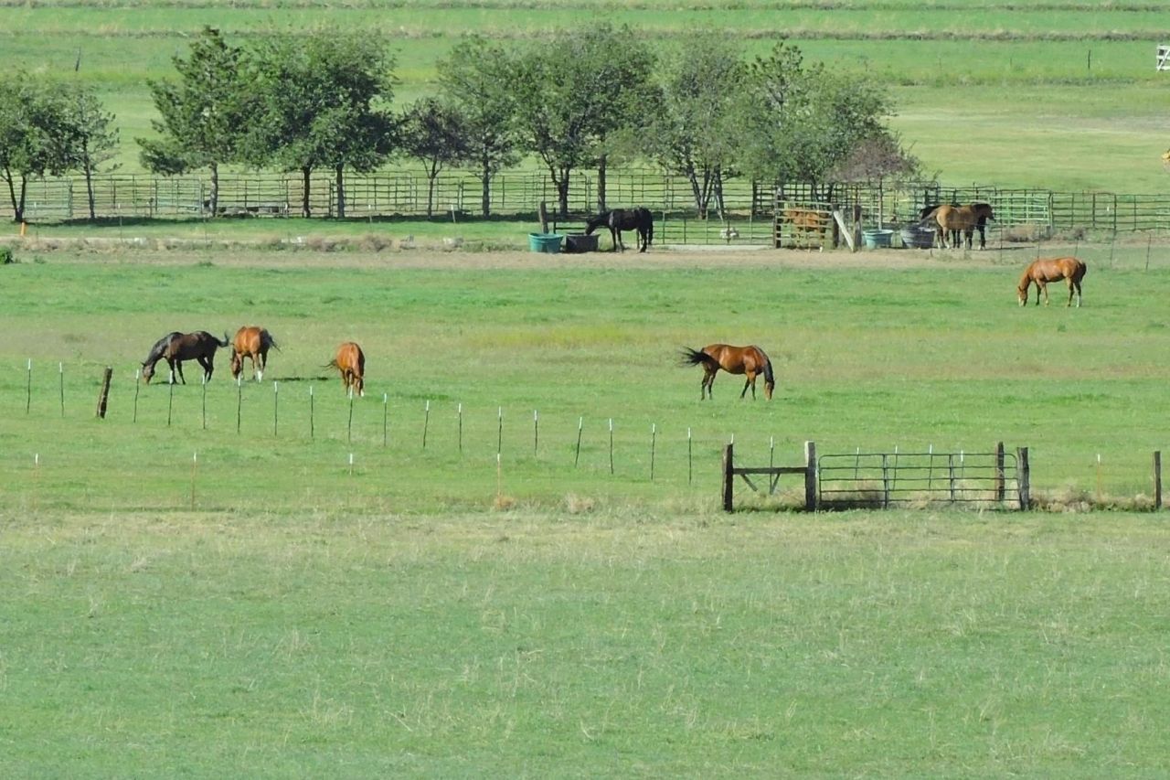 000 Pinenut Road, Gardnerville, NV 89410 Photo