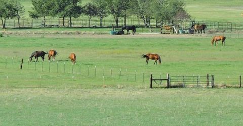 000 Pinenut Road, Gardnerville, NV 89410 Photo