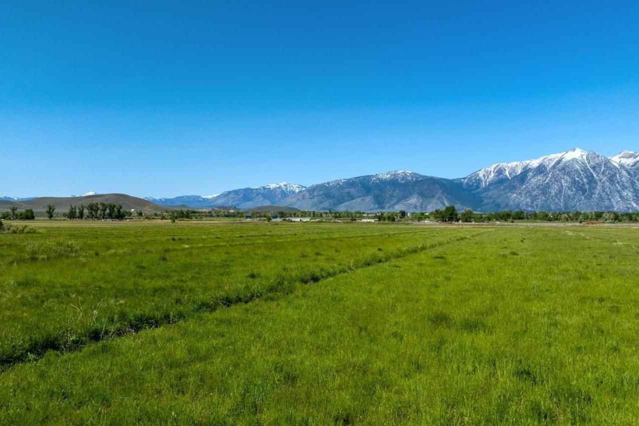 000 Pinenut Road, Gardnerville, NV 89410 Photo