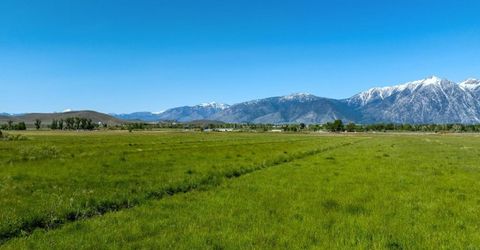 000 Pinenut Road, Gardnerville, NV 89410 Photo