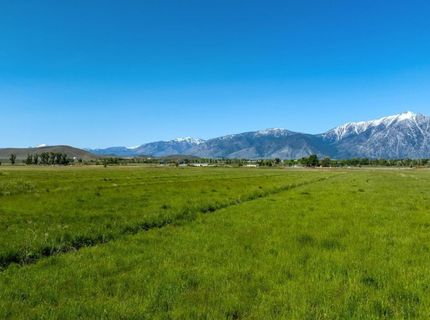 000 Pinenut Road, Gardnerville, NV 89410 Photo