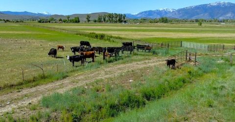 000 Pinenut Road, Gardnerville, NV 89410 Photo