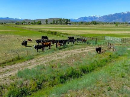 000 Pinenut Road, Gardnerville, NV 89410 Photo