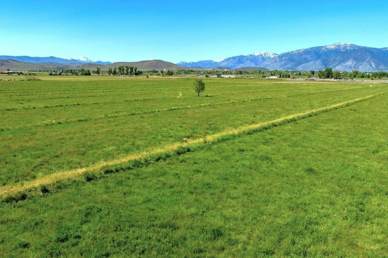 000 Pinenut Road, Gardnerville, NV 89410 Photo