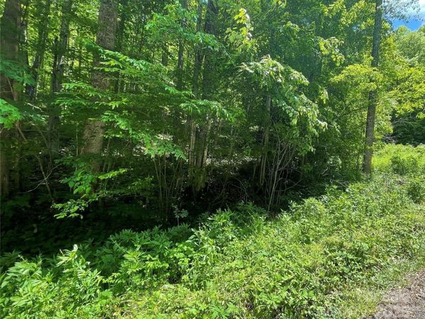 22 Zebulon Lane, Mars Hill, NC 28754