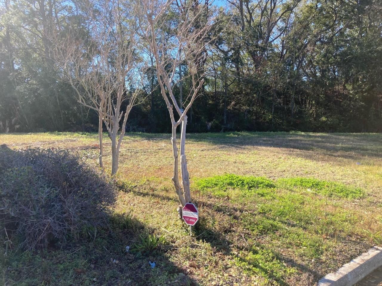 335 Savannah Highway Photo 7