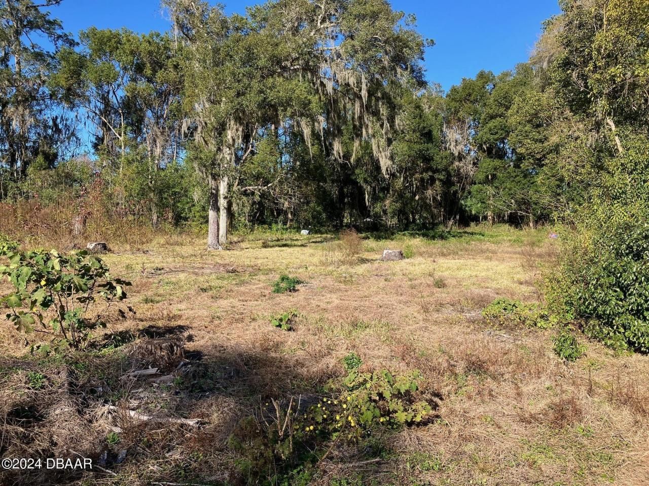 0 24th Street, Ocala, FL 34471 Photo