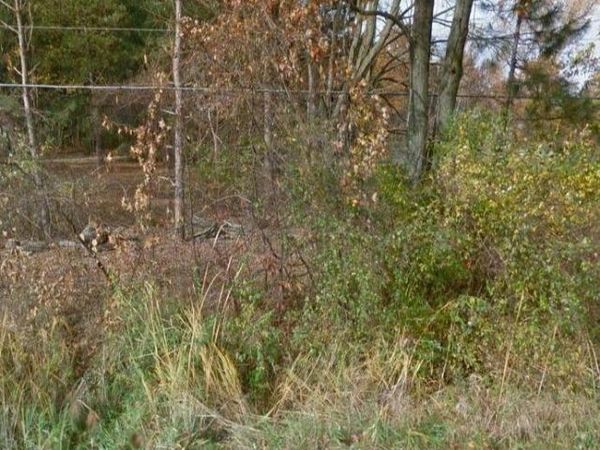 VL S GLEANER Road, Swan Creek Twp, MI 48609