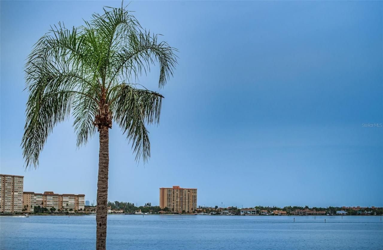 6322 Palma Del Mar Boulevard S, Unit 305, Saint Petersburg, FL 33715 Photo