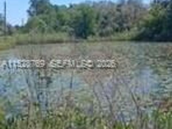 0 Richardson Blvd, Webster, FL 33597